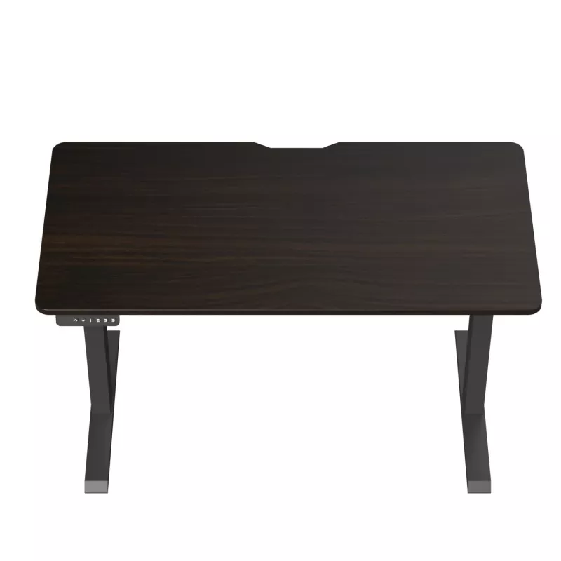 Table de levage électrique à double moteur à cartes de particules