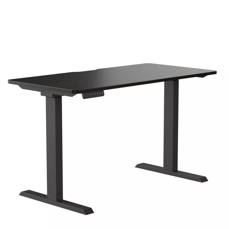 Table de levage électrique à double moteur à cartes de particules