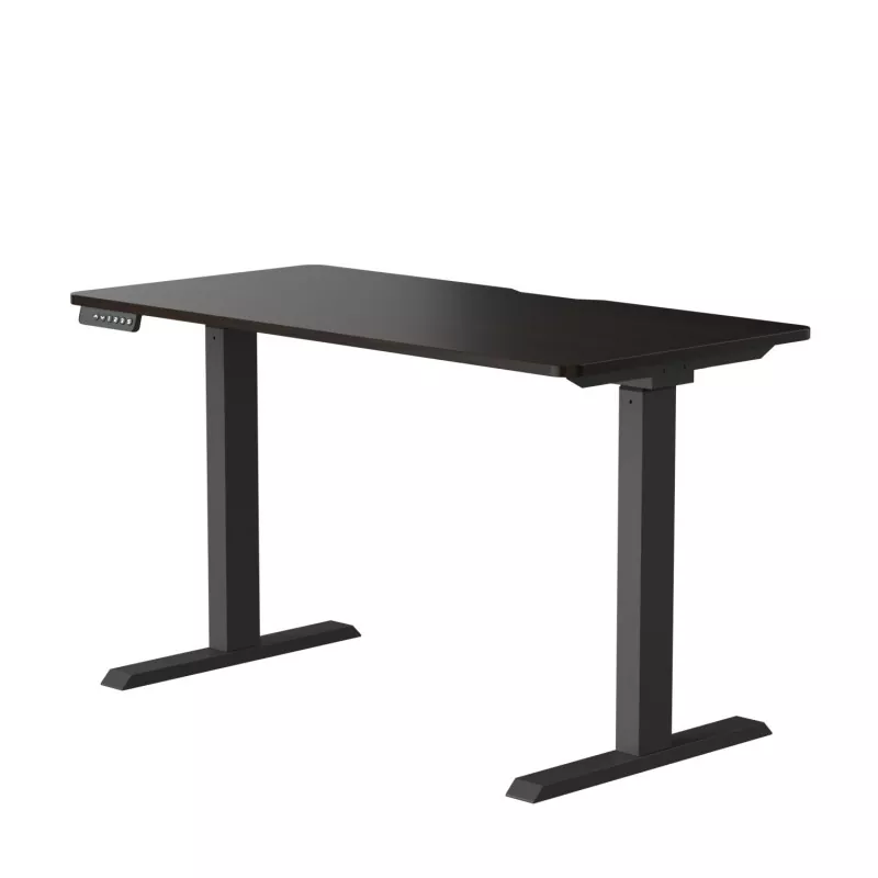 Table de levage électrique à double moteur à cartes de particules