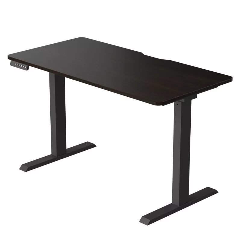 Table de levage électrique à double moteur à cartes de particules