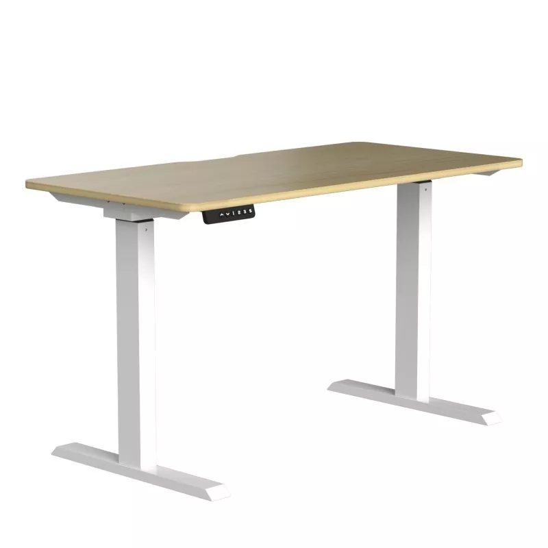 Table de levage électrique à double moteur à cartes de particules